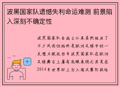 波黑国家队遗憾失利命运难测 前景陷入深刻不确定性