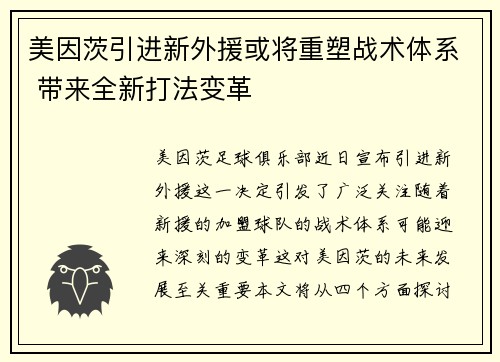 美因茨引进新外援或将重塑战术体系 带来全新打法变革