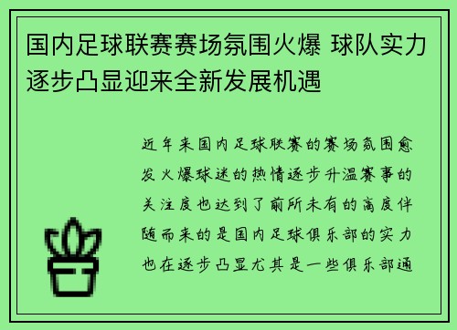 国内足球联赛赛场氛围火爆 球队实力逐步凸显迎来全新发展机遇